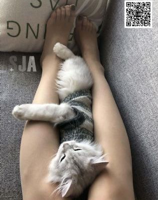 巴黎q娘电影