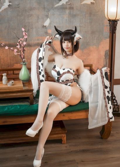 免费看电视剧网站