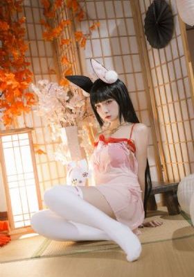 善良女秘书的目的在线播放